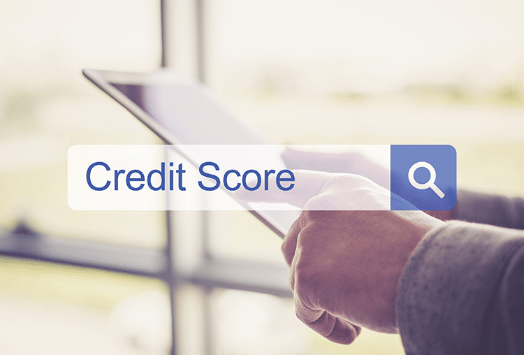 Credit score in search field over image of person holding tablet